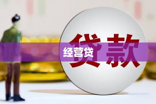 中西经营贷