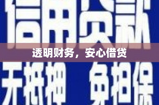 中西透明财务，安心借贷