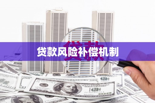中西贷款风险补偿机制