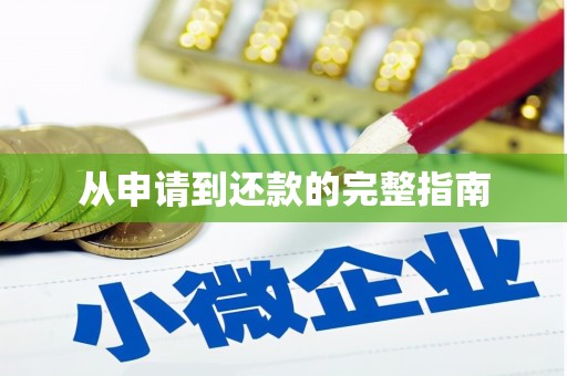 中西从申请到还款的完整指南