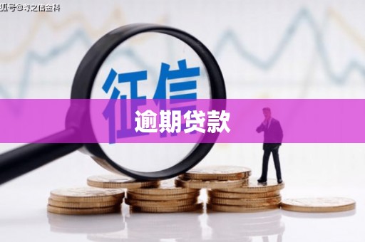 中西逾期贷款
