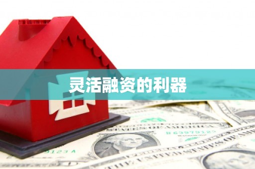 中西灵活融资的利器