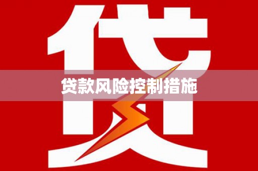 中西贷款风险控制措施