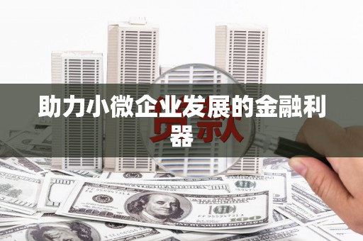中西助力小微企业发展的金融利器