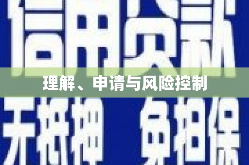 中西理解、申请与风险控制