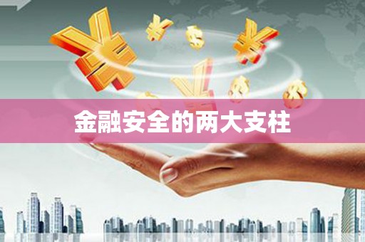 中西金融安全的两大支柱