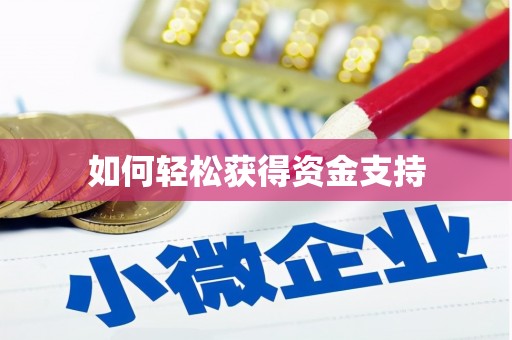 中西如何轻松获得资金支持