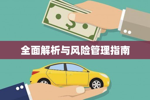 中西全面解析与风险管理指南