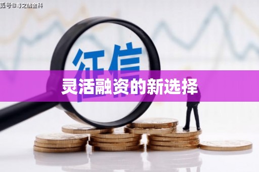 中西灵活融资的新选择