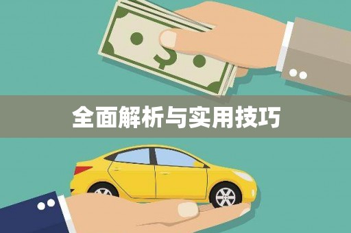 中西全面解析与实用技巧 中西全面解析与实用技巧