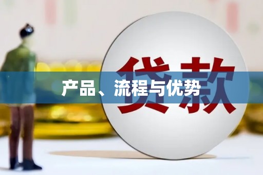中西产品、流程与优势