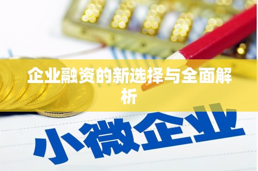 中西企业融资的新选择与全面解析