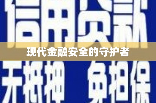 中西现代金融安全的守护者