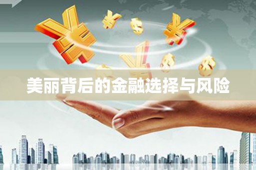 中西美丽背后的金融选择与风险