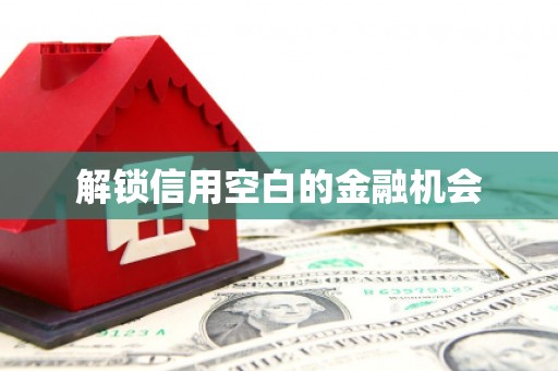 中西解锁信用空白的金融机会
