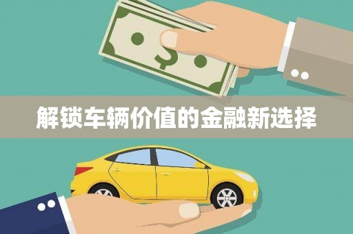 中西解锁车辆价值的金融新选择