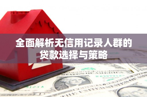 中西全面解析无信用记录人群的贷款选择与策略