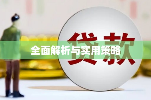 中西全面解析与实用策略