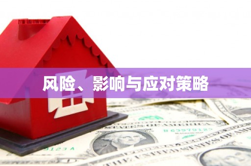 中西风险、影响与应对策略