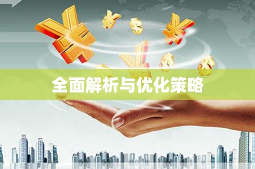 中西全面解析与优化策略