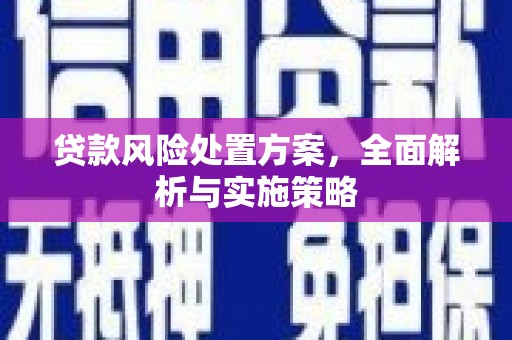 中西贷款风险处置方案，全面解析与实施策略