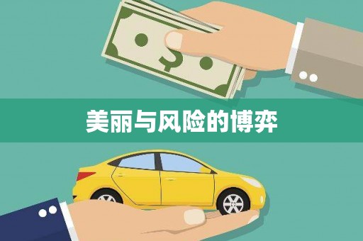 中西美丽与风险的博弈