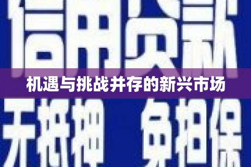 中西机遇与挑战并存的新兴市场