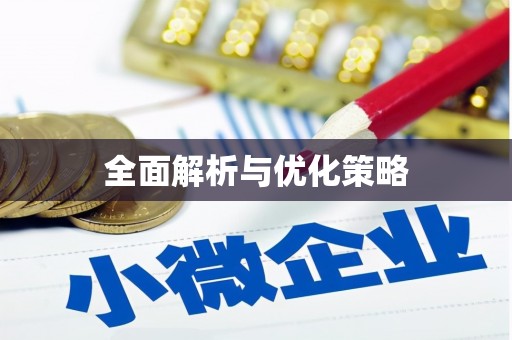 中西全面解析与优化策略