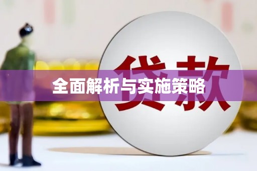 中西全面解析与实施策略