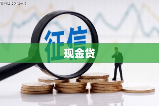 中西现金贷