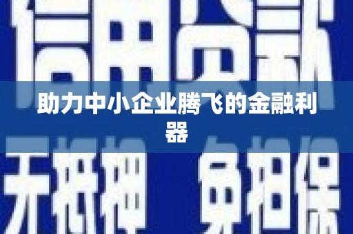 中西助力中小企业腾飞的金融利器