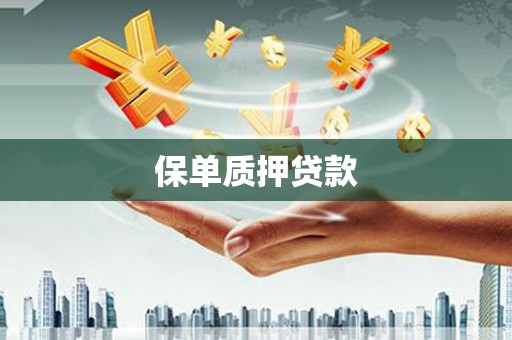 中西保单质押贷款
