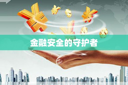 中西金融安全的守护者