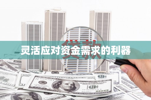 中西灵活应对资金需求的利器