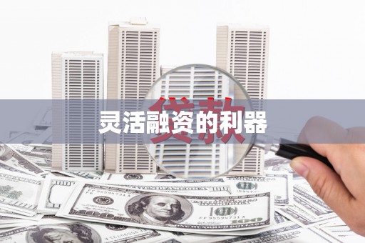 中西灵活融资的利器