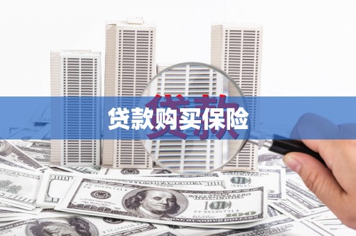 中西贷款购买保险