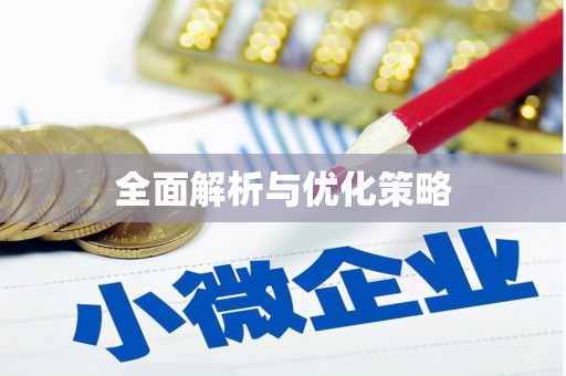 中西全面解析与优化策略