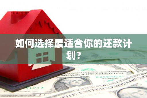 中西如何选择最适合你的还款计划？