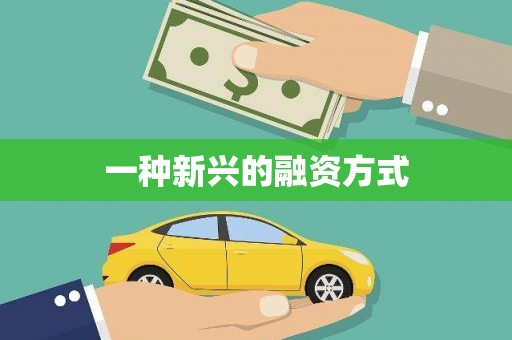 中西一种新兴的融资方式