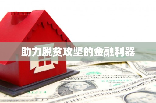 中西助力脱贫攻坚的金融利器