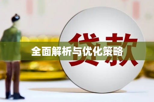 中西全面解析与优化策略