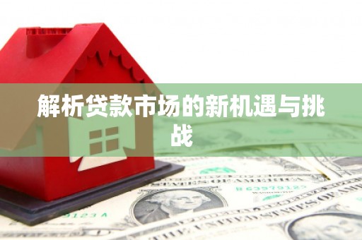 中西解析贷款市场的新机遇与挑战