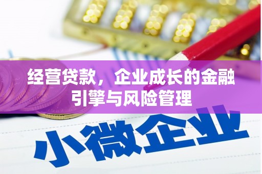 中西经营贷款，企业成长的金融引擎与风险管理