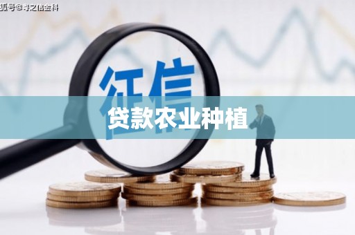 中西贷款农业种植