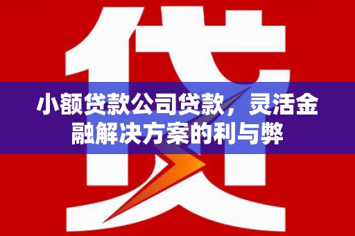 中西小额贷款公司贷款，灵活金融解决方案的利与弊