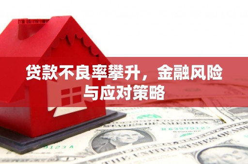中西贷款不良率攀升，金融风险与应对策略
