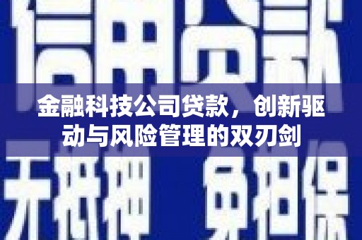 中西金融科技公司贷款，创新驱动与风险管理的双刃剑
