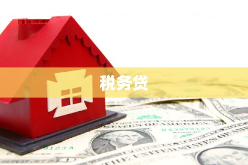 中西税务贷