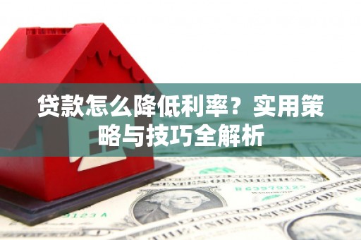 中西贷款怎么降低利率？实用策略与技巧全解析